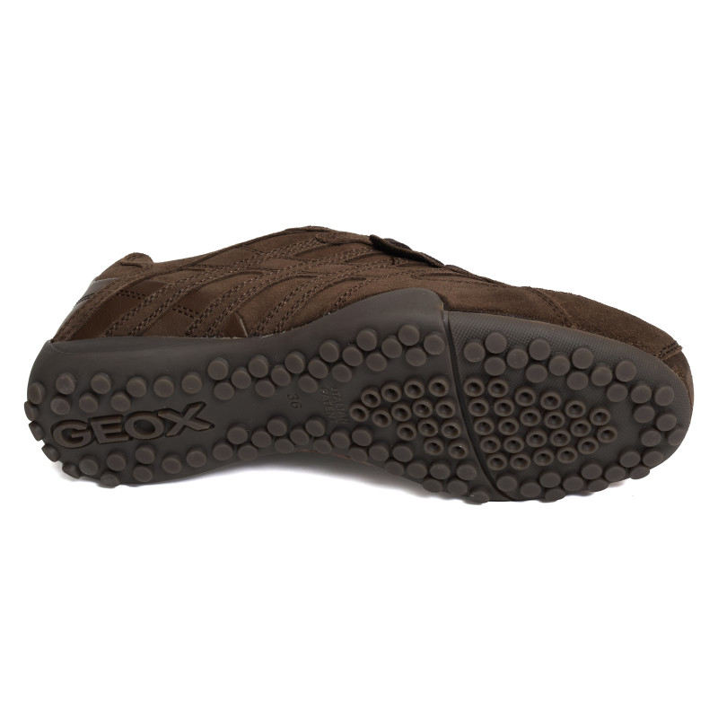 D SNAKE A Chocolat, Sneakers basses Geox